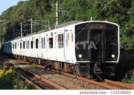 [JR Kyushu] 817 series 3000 series (Kagoshima Main Line: Tempaiyama to Harada) 133559603
