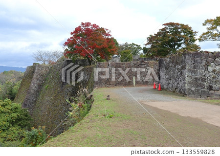 眺望岡城高聳的石牆、鐘樓遺跡和西中切遺址（大分縣竹田市） 133559828