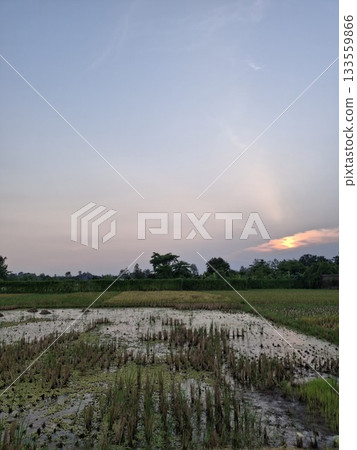 Serene rural landscape at dusk with reflective water Serene rural landscape at dusk with reflective water 133559866