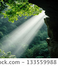 Sunlight beam piercing lush green forest canopy through cave opening, serene misty nature scene with soft natural light 133559988
