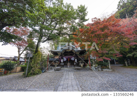 Awata Shrine Main Hall Autumn Leaves Season Awata Shrine Main Hall Autumn Leaves Season 133560246