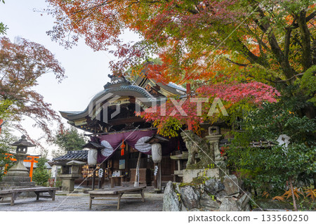 Awata Shrine Main Hall Autumn Leaves Season Awata Shrine Main Hall Autumn Leaves Season 133560250