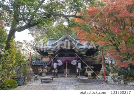 Awata Shrine Main Hall Autumn Leaves Season 133560257