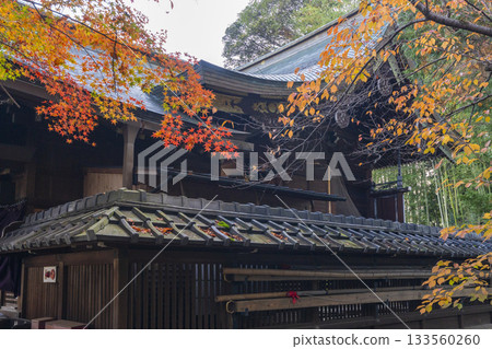 阿瓦塔神社秋葉季 133560260