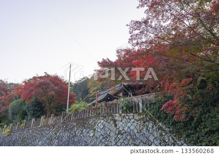 粟田神社正殿秋葉季 粟田神社正殿秋葉季 133560268