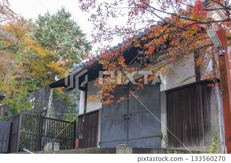 粟田神社石階秋葉隧道 粟田神社石階秋葉隧道 133560270