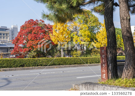 秋天的京都只園白川 133560278