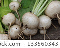 新鮮採摘的蘿蔔的樸實之美 133560343