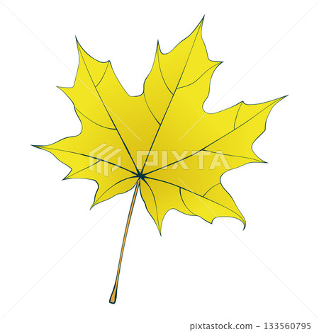 Yellow autumn maple leaf colored sketch isolated on transparent background. Flat and line style vector illustration.  133560795