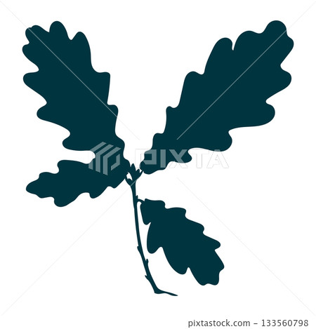 Silhouette of a young oak branch with leaves isolated on white background. Flat and line style vector illustration. 133560798