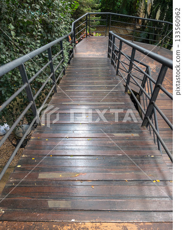 Metal Ramp Bridge in Botanical Garden. Metal Ramp Bridge in Botanical Garden. 133560962