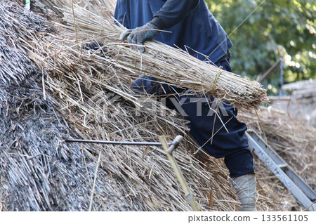 A craftsman repairing a thatched roof 133561105