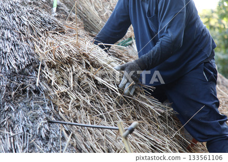 A craftsman repairing a thatched roof 133561106