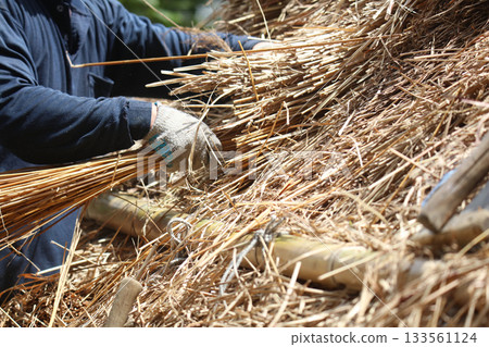 A craftsman repairing a thatched roof 133561124