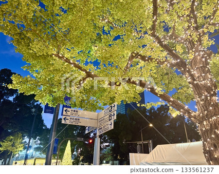 橫濱燈光秀_日本大道燈光秀_神奈川縣政府辦公大樓_國王塔 133561237