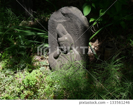 陽光透過樹梢灑在道心上。 133561246