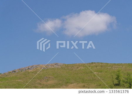Akiyoshidai with dead grass in the spring of 2025 133561376