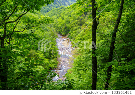 250608 座古川大瀧瀑布 133561491