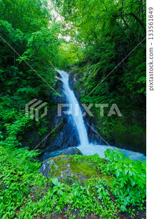 250612 Akiyamago Oose Falls 133561649