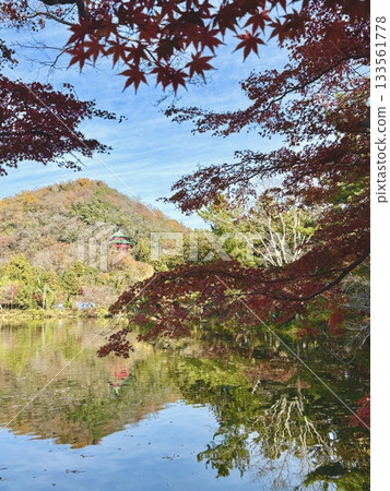 Autumn leaves reflecting off Izuruhara Benten Pond - One of Japan's Top 100 Waters - A natural monument of Tochigi Prefecture Autumn leaves reflecting off Izuruhara Benten Pond - One of Japan's Top 100 Waters - A natural monument of Tochigi Prefecture 133561778