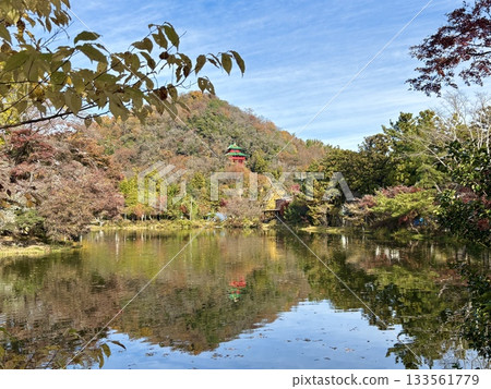 秋葉倒映在出流原弁天池－日本百佳水體之一－栃木郡天然紀念物 133561779