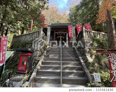 Autumn leaves shining brightly at Izuruhara Wakugama Shrine_ One of Japan's 100 famous waters_ A natural monument of Tochigi Prefecture 133561830