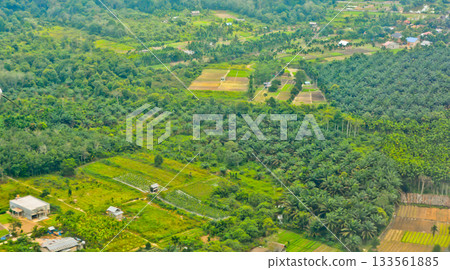 View from the sky of the palm oil landscape View from the sky of the palm oil landscape 133561885