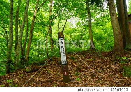 250620 Mt. Naeba Koakazawa 1st Station 250620 Mt. Naeba Koakazawa 1st Station 133561900