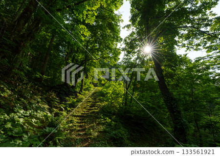 250620 Akiyamago Ose Falls 250620 Akiyamago Ose Falls 133561921