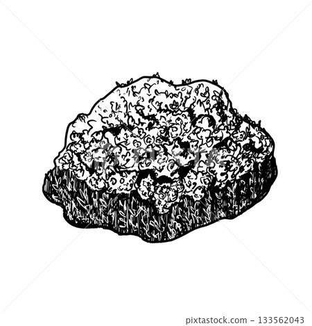 Oval evergreen bush with leaves. Hand drawn black white isolated illustration. Monochrome graphic of landscape element for architectural and garden sketches. Rock object in line clip art. Oval evergreen bush with leaves. Hand drawn black white isolated illustration. Monochrome graphic of landscape element for architectural and garden sketches. Rock object in line clip art. 133562043