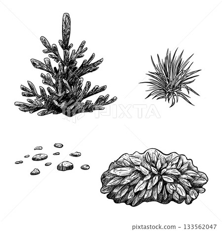 Stone group, evergreen spruce, grass bushes. Hand drawn black white set illustration. Monochrome graphic of landscape element for architectural and garden sketches. Rock object in line clip art. Stone group, evergreen spruce, grass bushes. Hand drawn black white set illustration. Monochrome graphic of landscape element for architectural and garden sketches. Rock object in line clip art. 133562047
