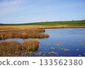秋季，水生藨草遍布烏柳沼澤。 133562380