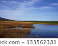 秋季，水生藨草遍布烏柳沼澤。 133562381