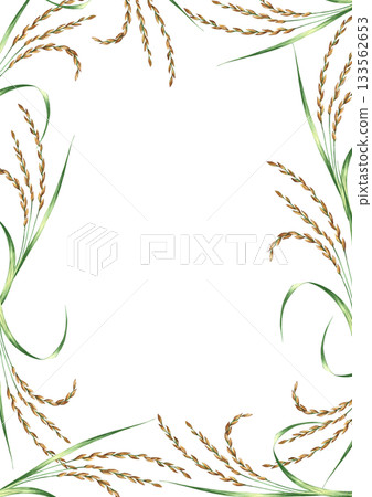 Frame with rice stalks. Hand-drawn watercolor illustration. Design element for menus, recipes, and cookbooks. For banners, flyers, packaging, labels, and more. Frame with rice stalks. Hand-drawn watercolor illustration. Design element for menus, recipes, and cookbooks. For banners, flyers, packaging, labels, and more. 133562653