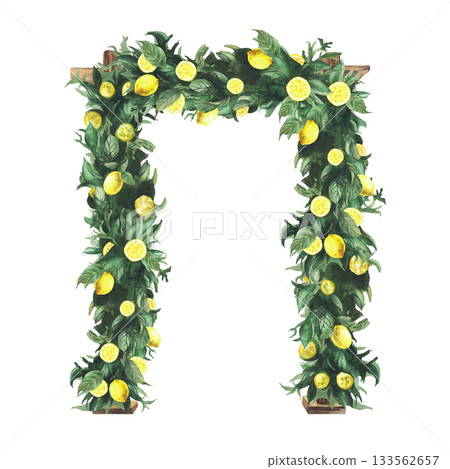 Wedding arch is decorated with green leaves and lemons. Watercolor realistic illustration Hand drawn wooden arches with greenery and yellow tropical fruit isolated from background for festive ceremony Wedding arch is decorated with green leaves and lemons. Watercolor realistic illustration Hand drawn wooden arches with greenery and yellow tropical fruit isolated from background for festive ceremony 133562657
