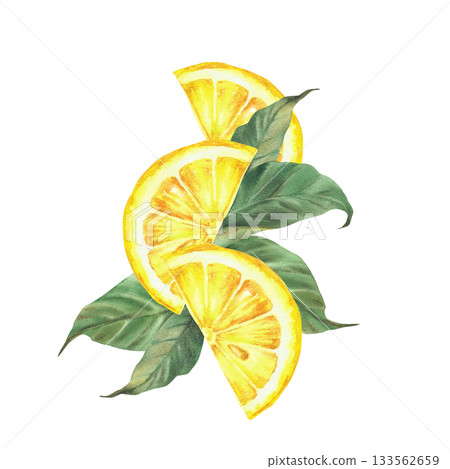 Watercolor Lemon sliced with green leaves. Yellow citrus cut in half fruit or juicy orange slice. Realistic watercolor hand drawn illustration for drink menu, cosmetic label design on isolated white 133562659