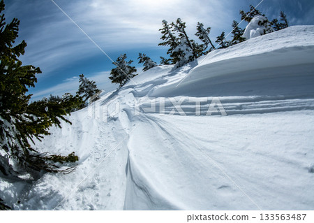 Snowy mountain scenery in Shiga Kogen, Nagano Prefecture Snowy mountain scenery in Shiga Kogen, Nagano Prefecture 133563487