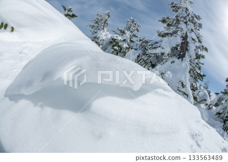 長野縣志賀高原的雪山風光 133563489