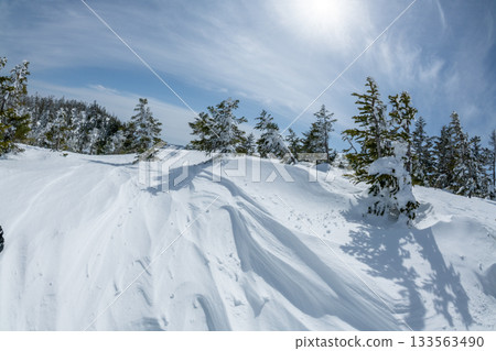 Snowy mountain scenery in Shiga Kogen, Nagano Prefecture Snowy mountain scenery in Shiga Kogen, Nagano Prefecture 133563490