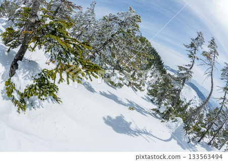 長野縣志賀高原的雪山風光 長野縣志賀高原的雪山風光 133563494