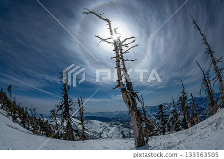Snowy mountain scenery in Shiga Kogen, Nagano Prefecture Snowy mountain scenery in Shiga Kogen, Nagano Prefecture 133563505