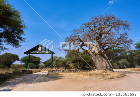 猴麵包樹和塔蘭吉雷國家公園正門 133563682