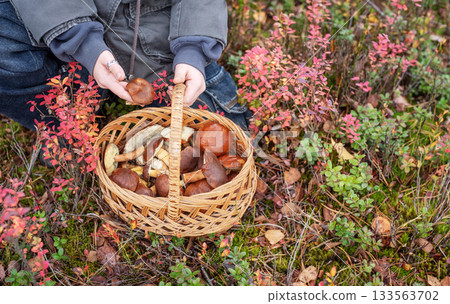 Person holding full basket of wild mushrooms in autumn forest 133563702
