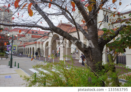 Flower Michi 133563795