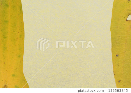 日本紙與野生山藥葉的結合 [背景資料] 133563845