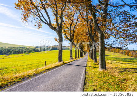 Narrow rural asphalt road in autumn time. Sunny autumnal weather. 133563922