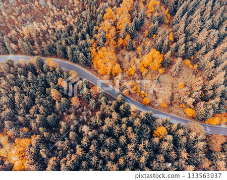 Autumn time colorful forest and narrow asphalt road. Aerial view from drone. Autumn time colorful forest and narrow asphalt road. Aerial view from drone. 133563937