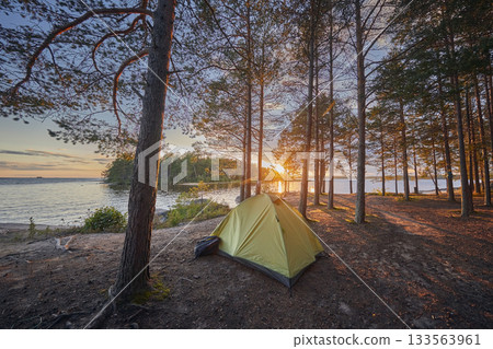 Tourist tent in a pine forest on the shore of a lake at sunset 133563961