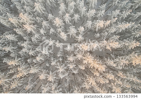 Aerial view of winter spruce forest texture. Beautiful landscape abstraction. Down view 133563994