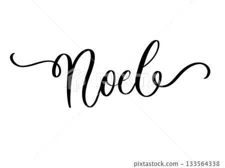 Noel Calligraphy Script with Flourishes.Elegant Cursive Typography for Christmas Greeting. 133564338